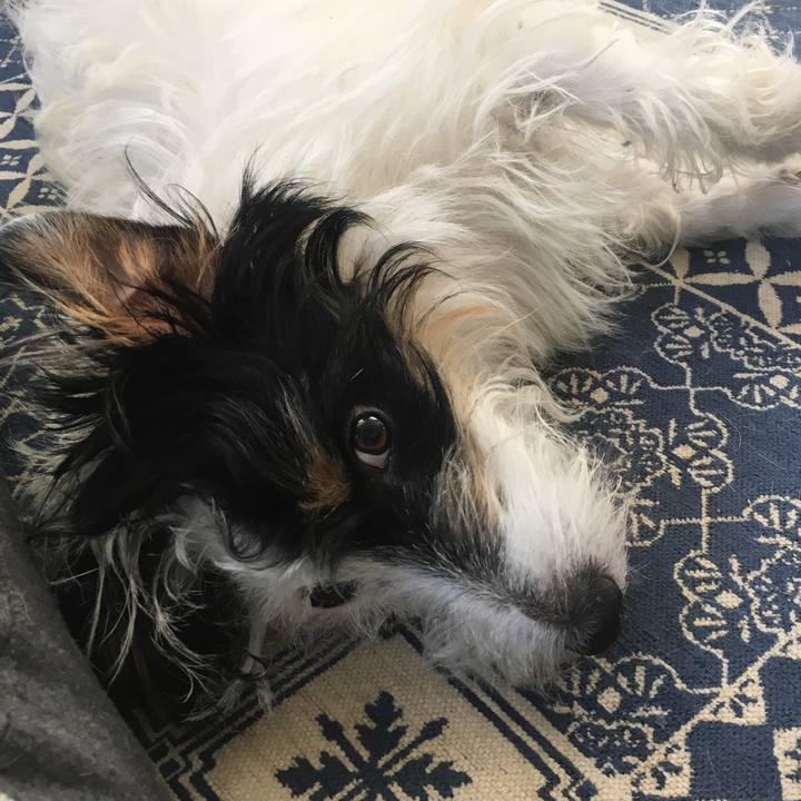 9310bb45 5816 46e0 a725 c510b8609a04