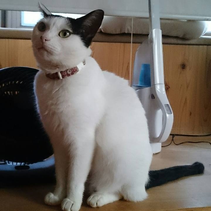 931107c4 766f 4c2a 9c89 47bcf9f3fa85