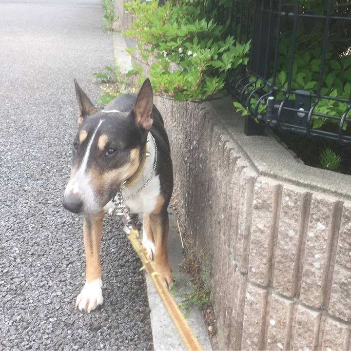 9311684d b8c4 45bb 85fe 720c55709b85