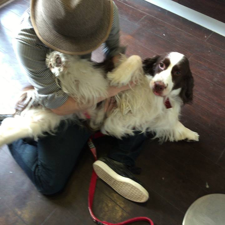 9311b495 f722 49ab 9a22 4fb8dec58ec2