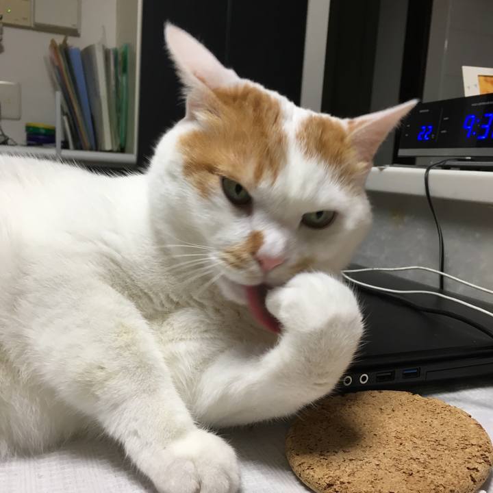 9311bd7d d73e 4493 b618 7f5c9e3336d4