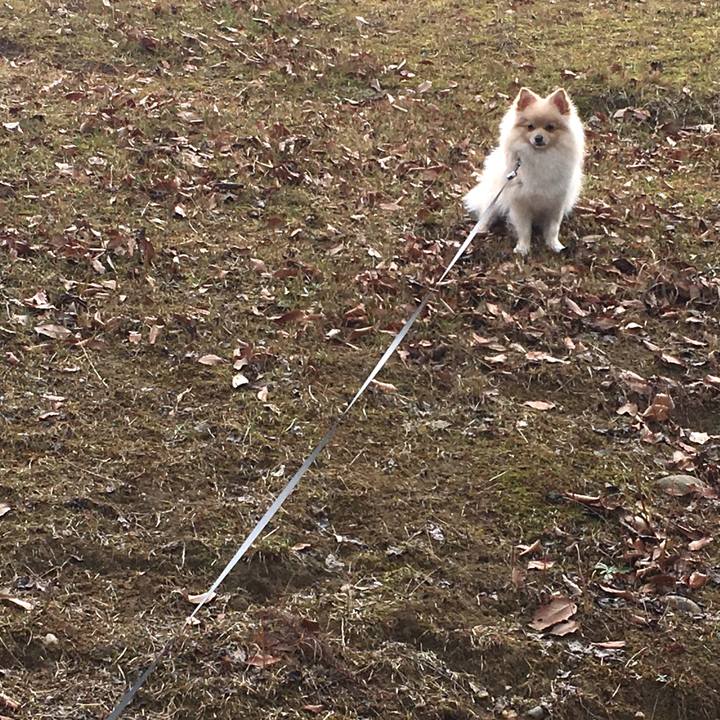 93125748 e771 4c87 90b4 3f28ad411fc4