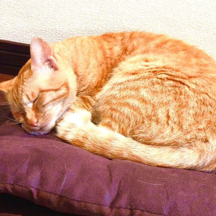 931364aa 2e4c 40f1 9a90 69f42ccff2f7