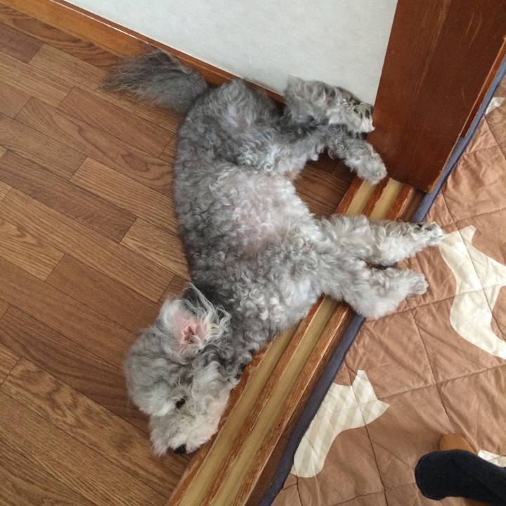 9314ea20 375b 482a 8031 03cf455a0a21