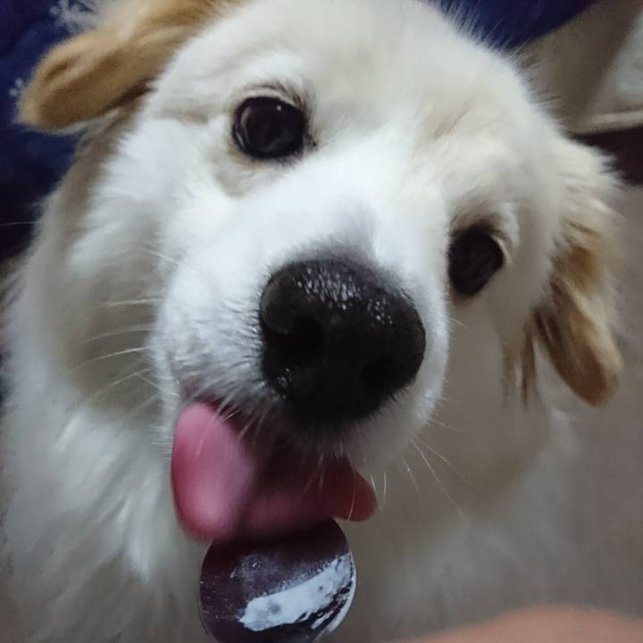 93154ace 5e15 4ebc 874b 20e8048fe062