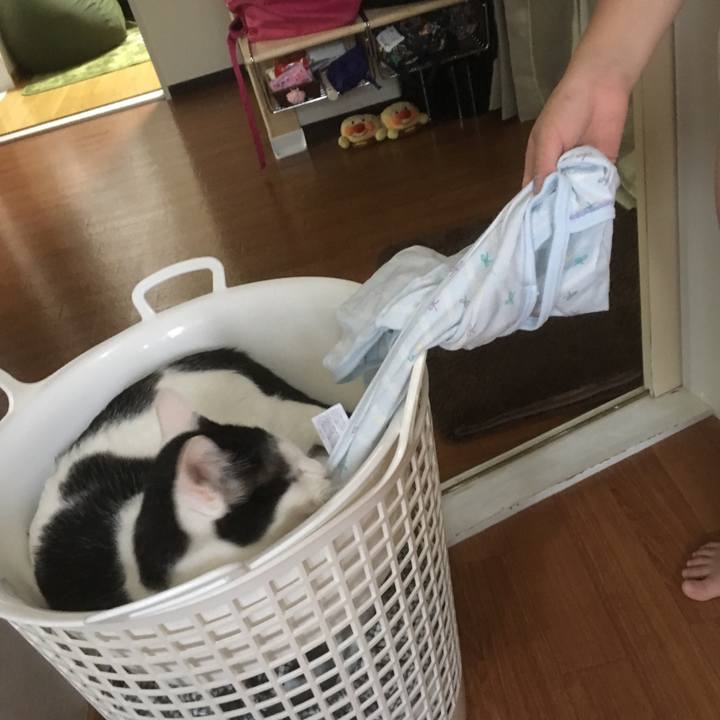 93160253 ac17 431f 9f49 13af1e89d081