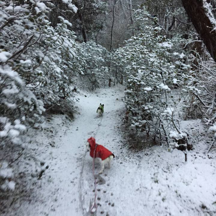 93162773 53a2 4e71 b6ed c91c4f9dad33