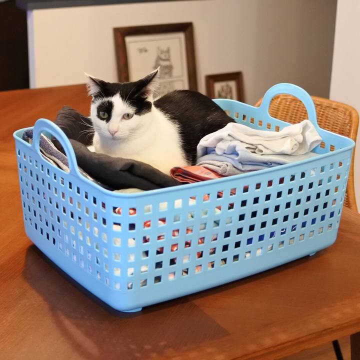 931692c5 f10c 4e66 8e32 0915e05e9714