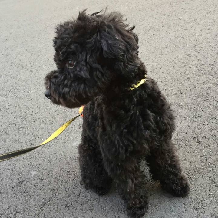 9316a047 586c 4f8b 8358 a50b3b720407