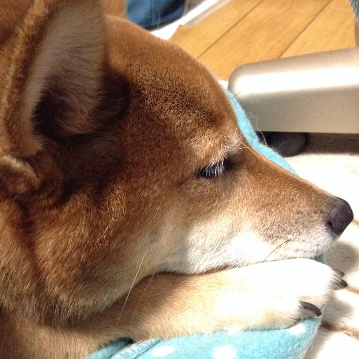 9316ddb0 0bc7 446b 93b4 e09aba6f7807