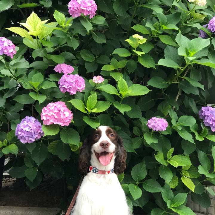 9316f6f3 86e4 49b9 b6b0 d67c1e5ca3f2