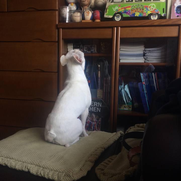 9317bdd6 1469 4009 8d75 336ab51634da