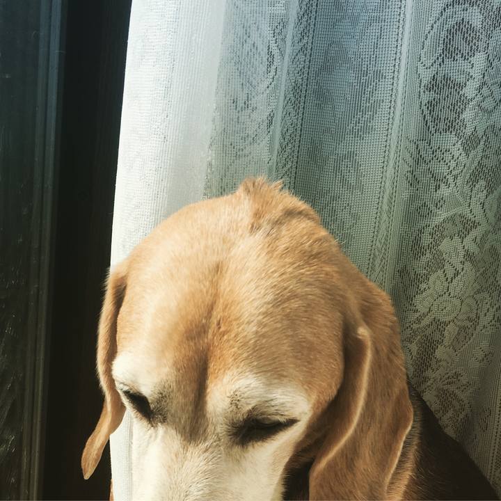 9317eefd 4806 4f0c abf4 43d678eaa6ac