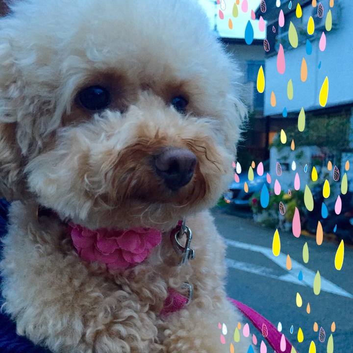 931825b1 f4e9 4bbc b056 a164b97a449a