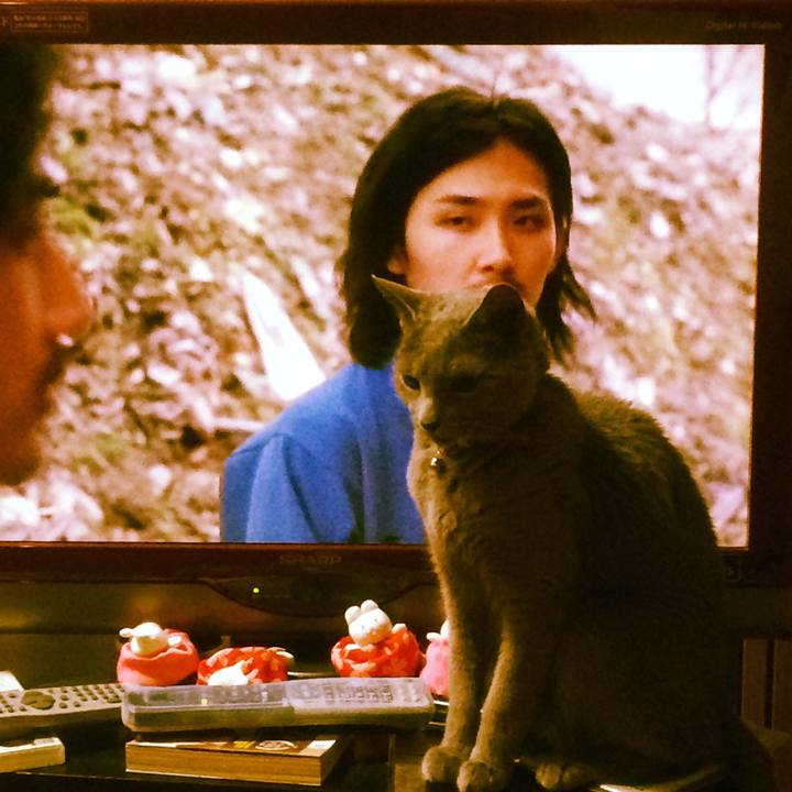 931ab16d 990b 489b a808 c14a028fbd39