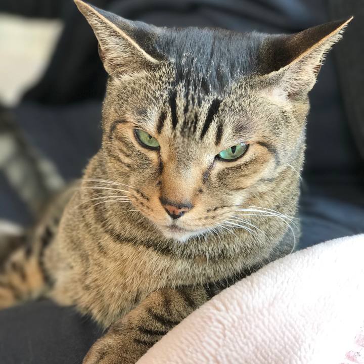 931b301b eeec 4c71 b732 4501dc61dbec