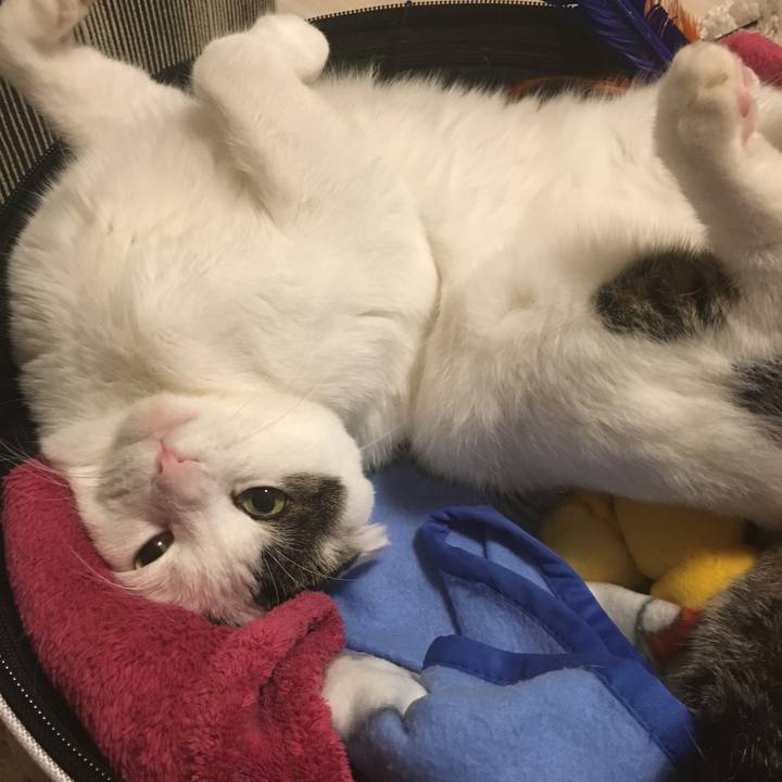 931b3229 4c05 41ee acf9 a7f1b89c71f5