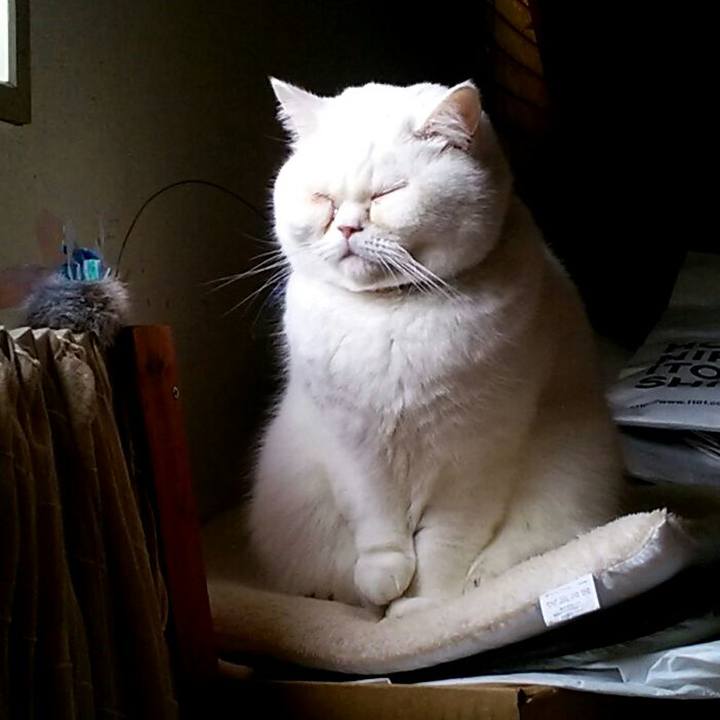 931b6224 e35b 4728 8a42 0d133d82f943