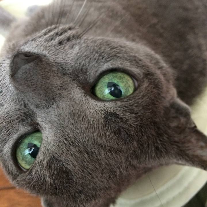 931c452b 9b6a 4946 89ab 82da951a410a