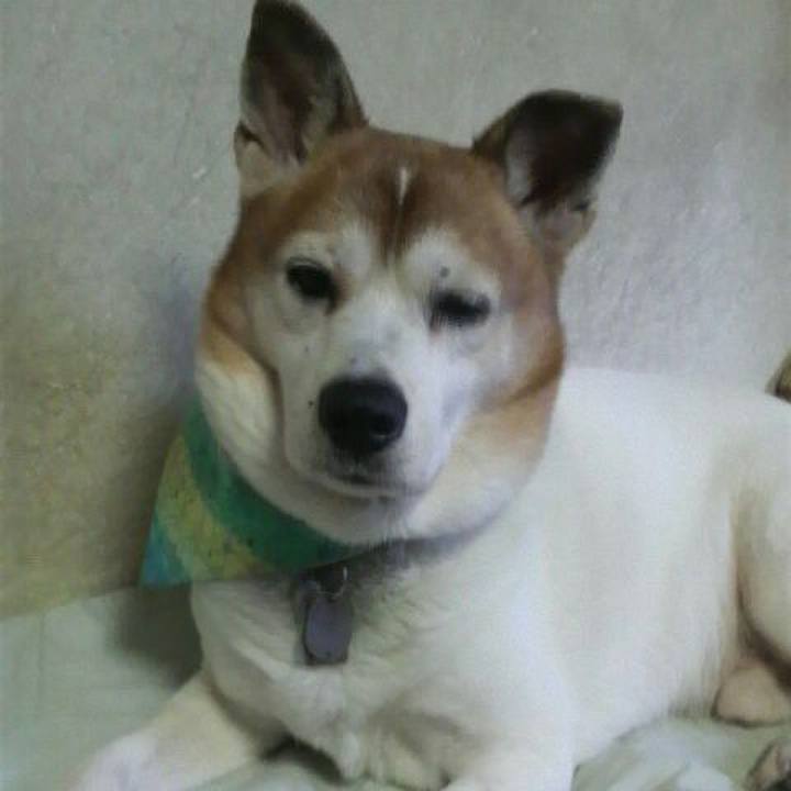 931c6a97 c57a 4807 9220 1587f0c4e464