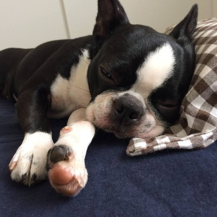 931ec09f f7ef 4632 aa63 afc0fa1990ef