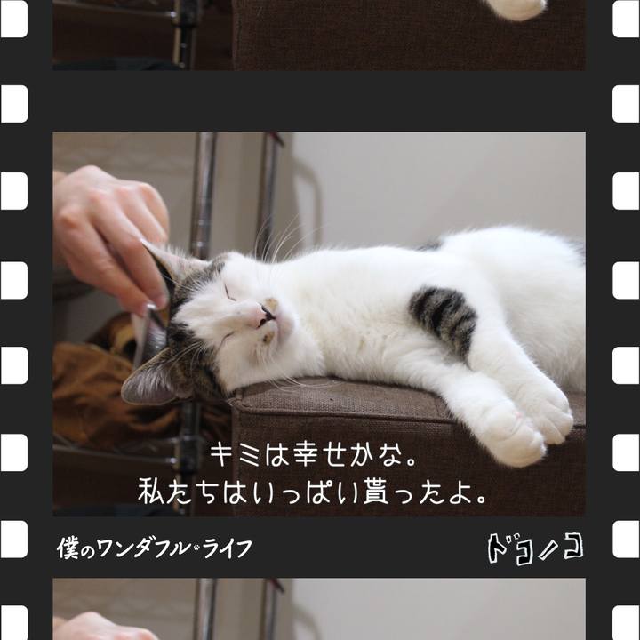 931edcae 6247 40c6 97f9 0f79d0c8c00e