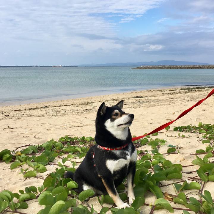 931ee099 b7ae 4887 925f 2037b63703f4