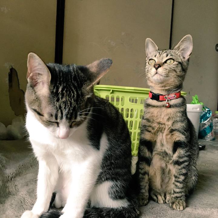 931fc47a 78e2 429a 9541 24138e33ccbe