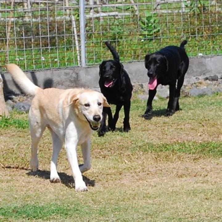 931fd7c7 1f5e 4f9e 90a0 859f272669f3