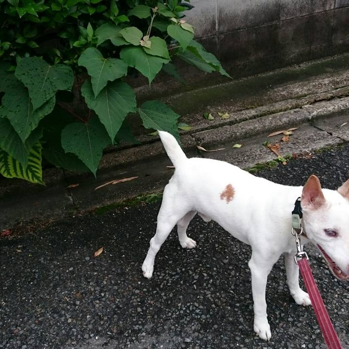 9321497e a47d 4e46 a211 21a27bf27462