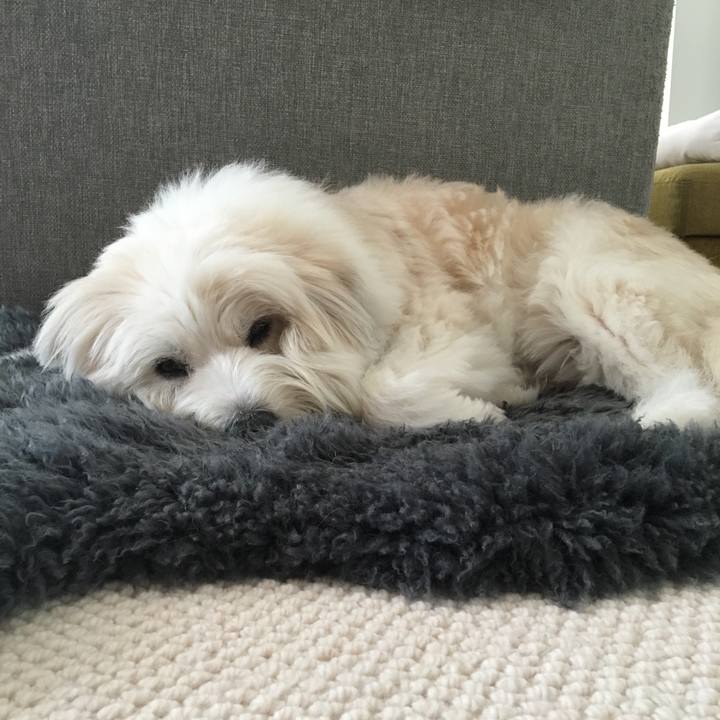 93221788 8105 4038 92c8 1ec2e6e3f613