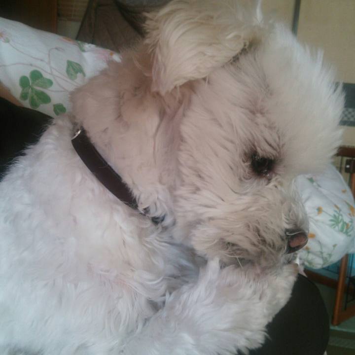 93227582 df6e 4f60 b658 7a2f0daa42f8