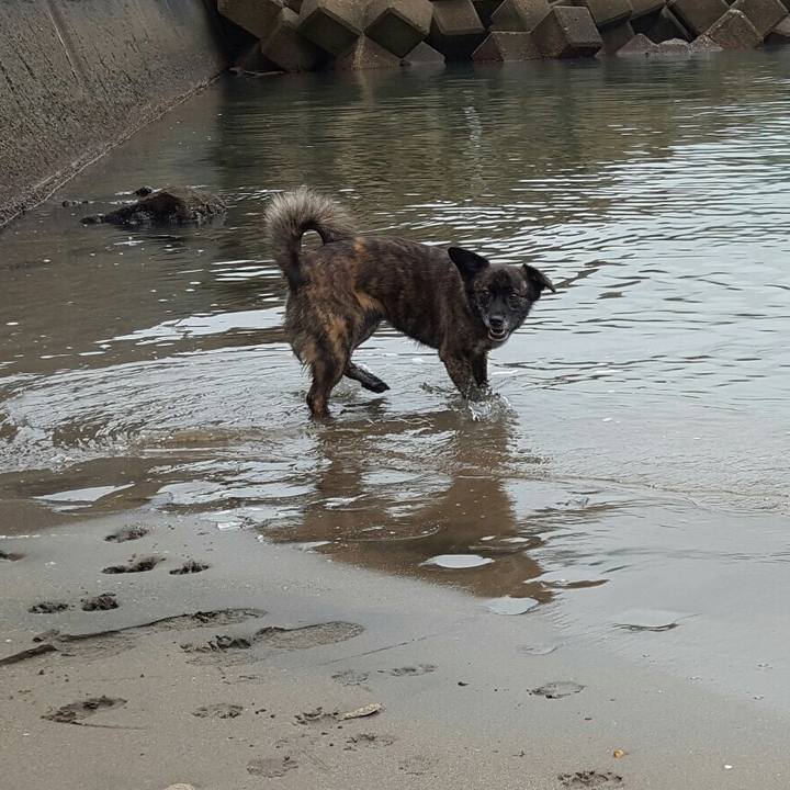 9322c195 75e3 4d31 b315 098d3545fa70