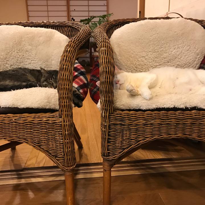 93232737 a095 4867 8fcc 633bda1689d1