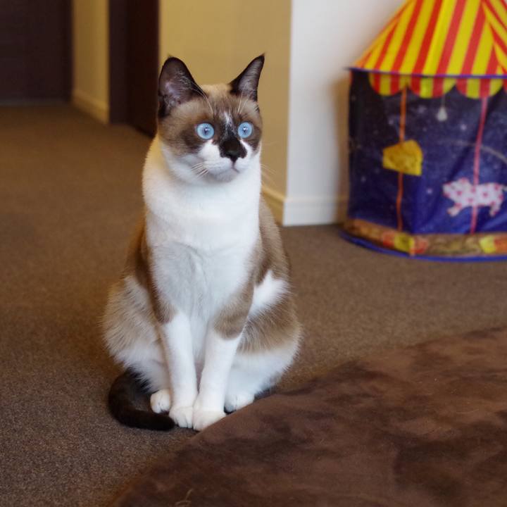 93239cdd d345 4858 8eda cd71afa5c361