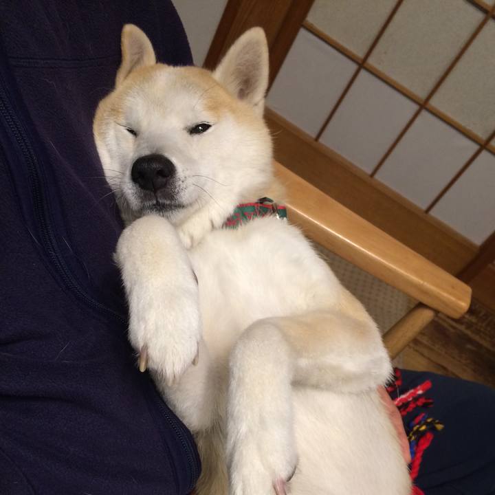 93243380 92dc 491f b853 d3ee73c5f476