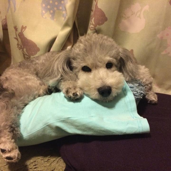 932459c6 72c7 4e19 8be3 1ef8fb91bd9f