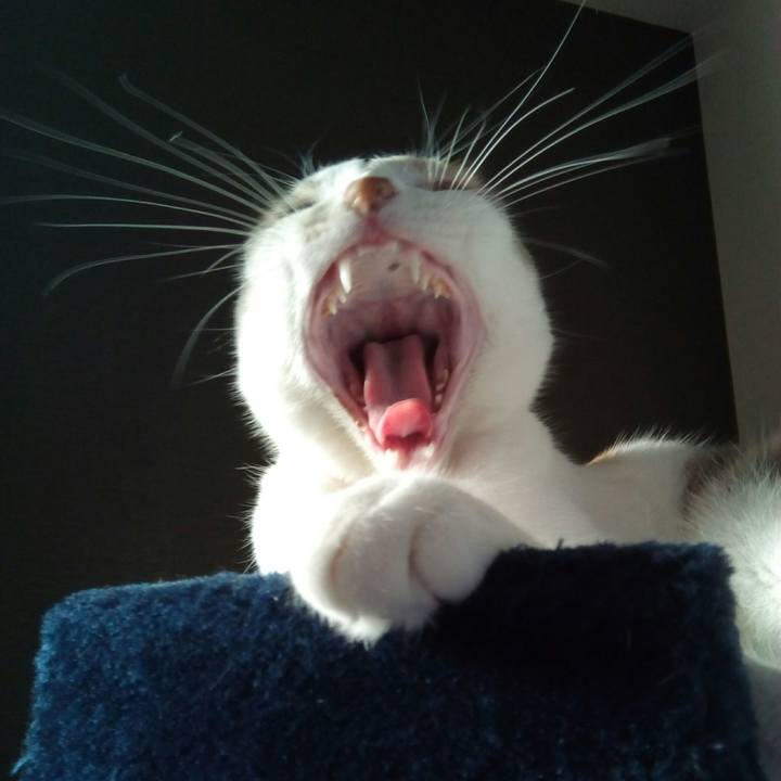 9324a70d b5e4 4102 8a1e a81c547bc476