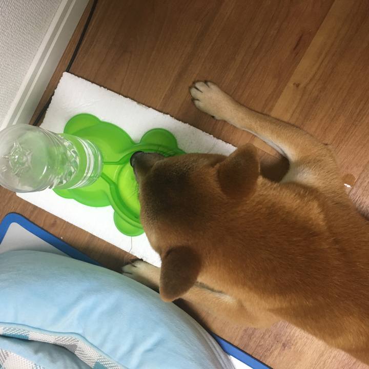 932517bf dc71 4437 a15e 86ec0629f44a