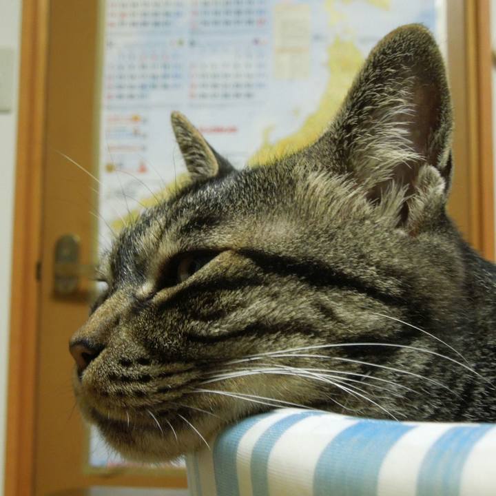 932660c8 4ec1 44a6 a2e1 fa88f705eb52