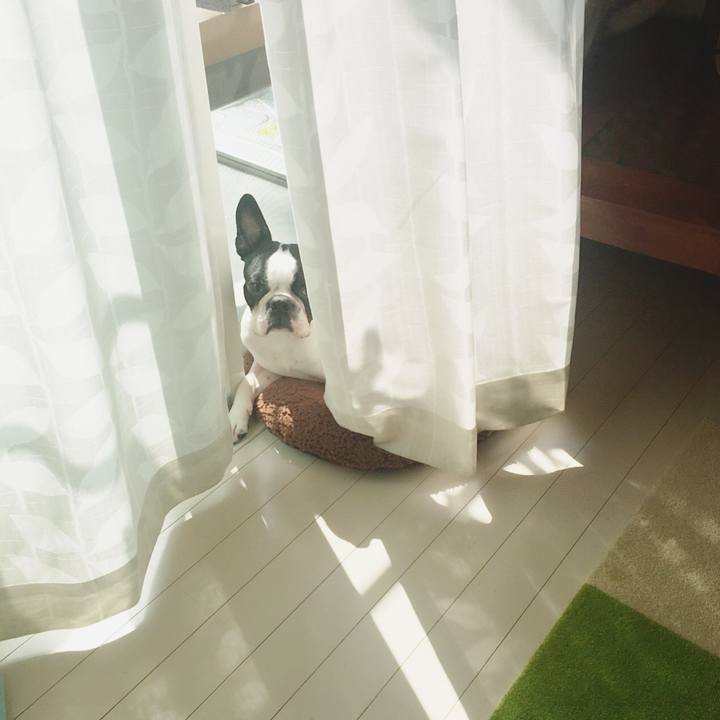 93269701 f7ec 4944 81f9 d729dc70faa9