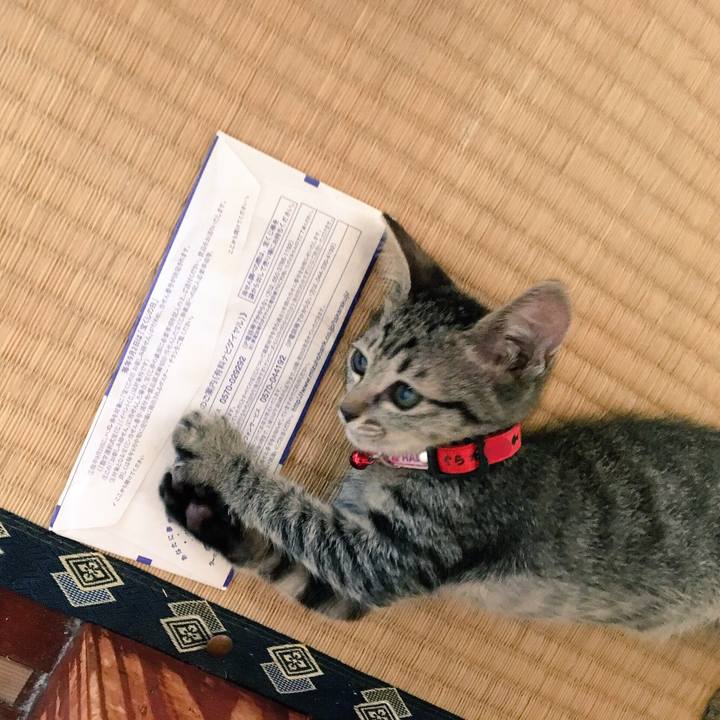 93271f12 efb6 49bc a716 c1e308f872b6