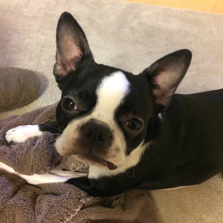 93277048 f816 465b 9719 457211ba0db4