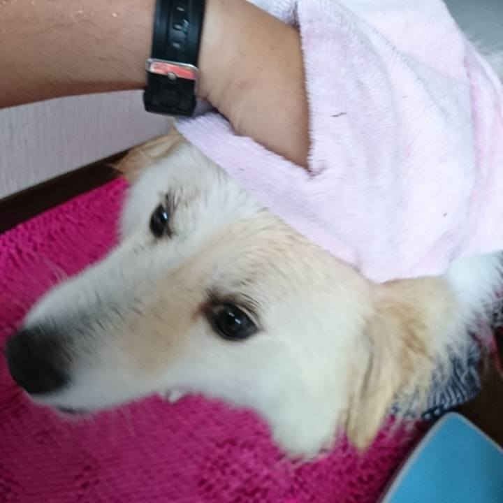 9327fce1 71ff 4acb 9d06 2c52bab866f6