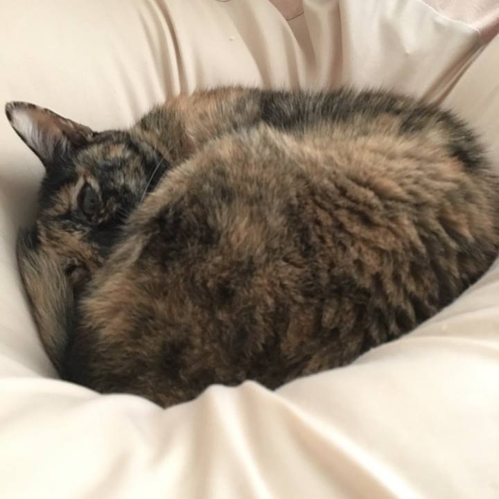 9327fd75 76ea 4790 9f43 d811f109c995