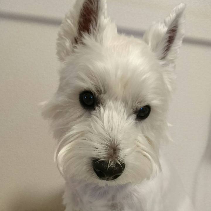 9328be21 e787 438a 873d 28378749523b