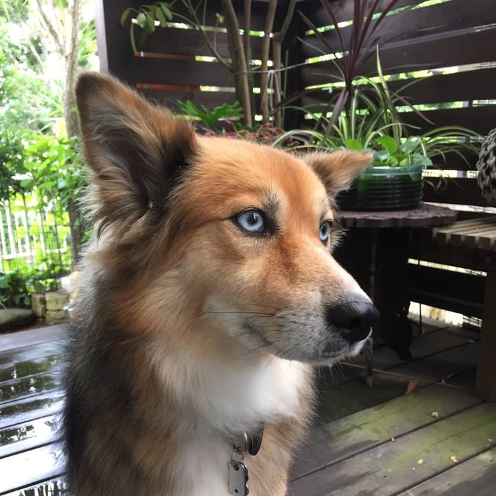 9329c241 c9ab 4f9e bf1c 19c5ad2e6400