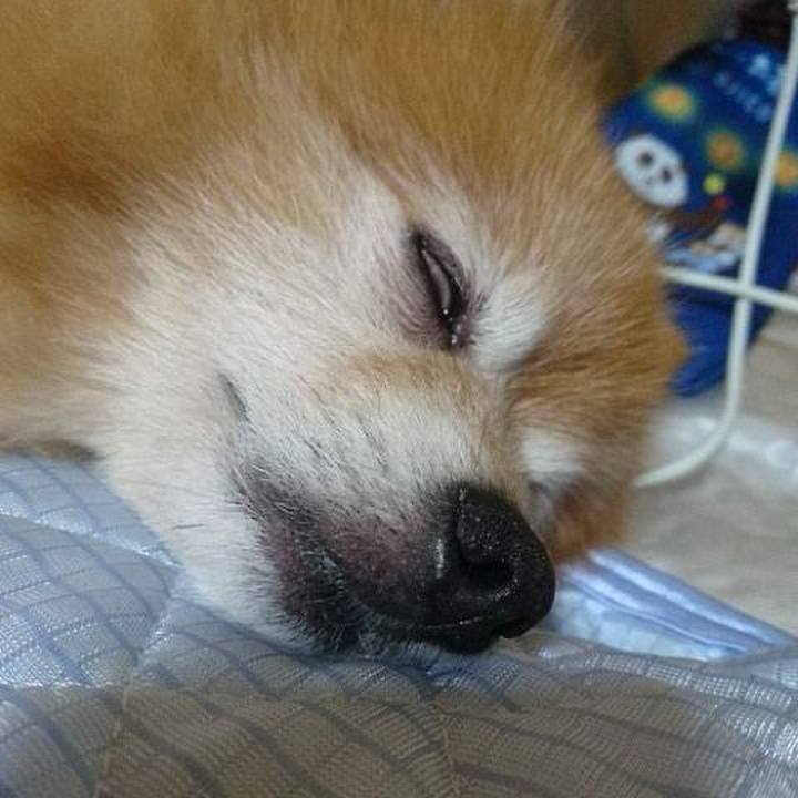 932b432a ad38 43eb a898 2c97ac473c73