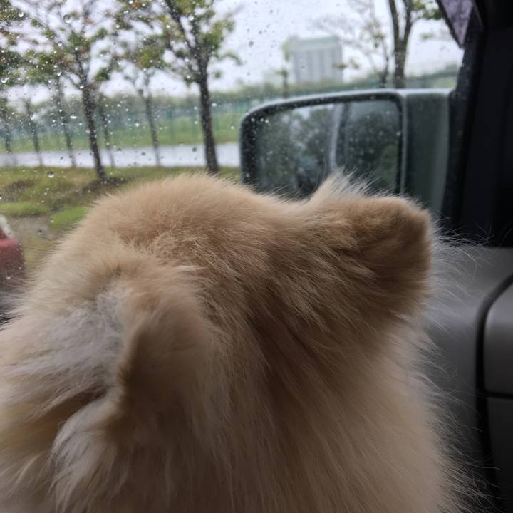 932c059f 4ed7 4e04 94c6 71ea08767e27