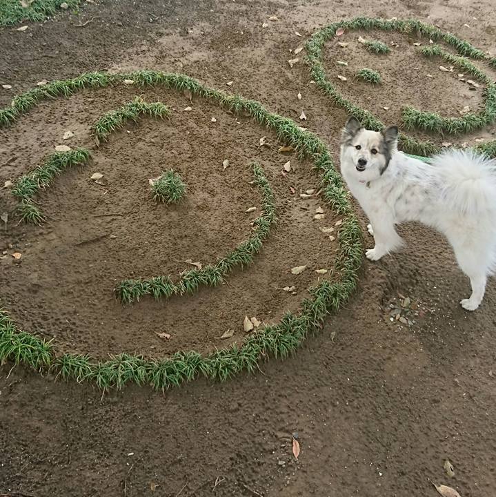 932c4bd3 9735 41be a847 27cef455ab5f